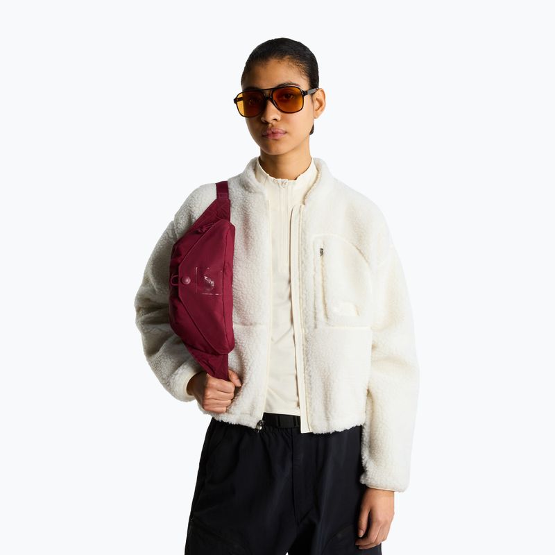 Borsetă The North Face Glen Canyon Lumbar burgundy crush 5