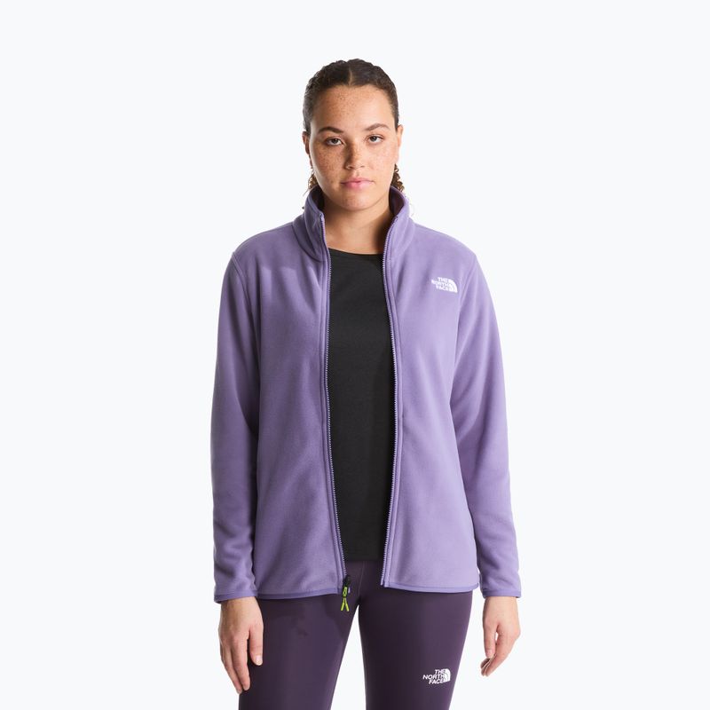 Bluză fleece pentru bărbați The North Face Glacier Fleece grounded plum 4