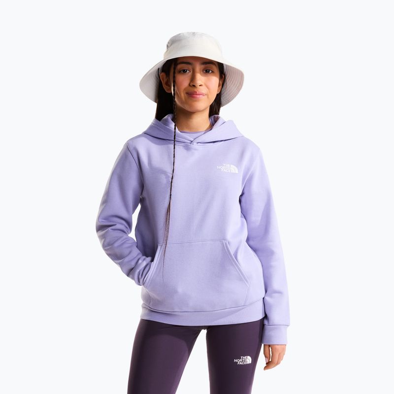 Bluză pentru copii The North Face Evolution Box NSE Pullover Hoodies pale plum 2