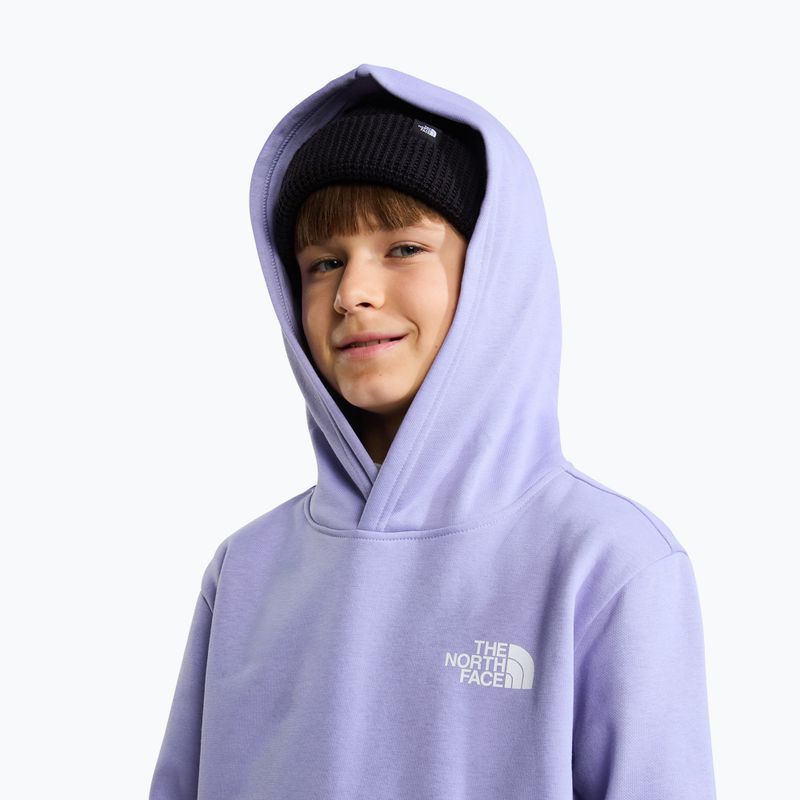 Bluză pentru copii The North Face Evolution Box NSE Pullover Hoodies pale plum 6