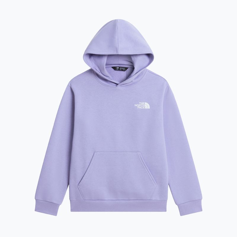 Bluză pentru copii The North Face Evolution Box NSE Pullover Hoodies pale plum 7