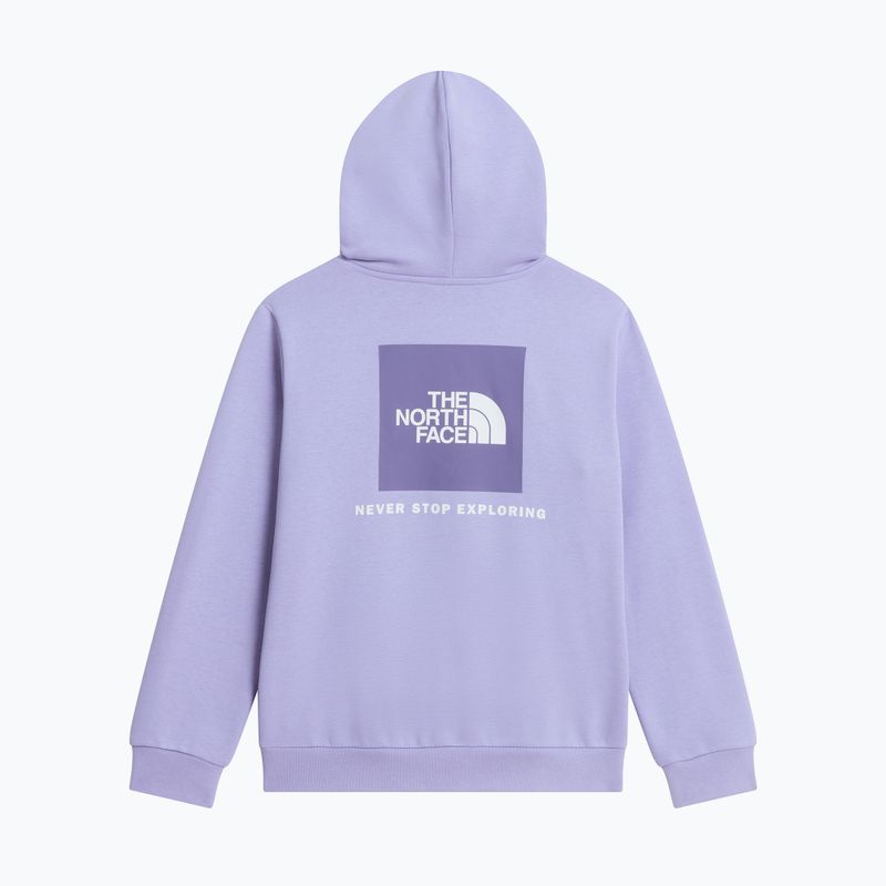 Bluză pentru copii The North Face Evolution Box NSE Pullover Hoodies pale plum 8