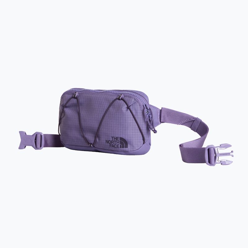 Borsetă The North Face Terra Lumbar 1 l grounded plum/endless 2