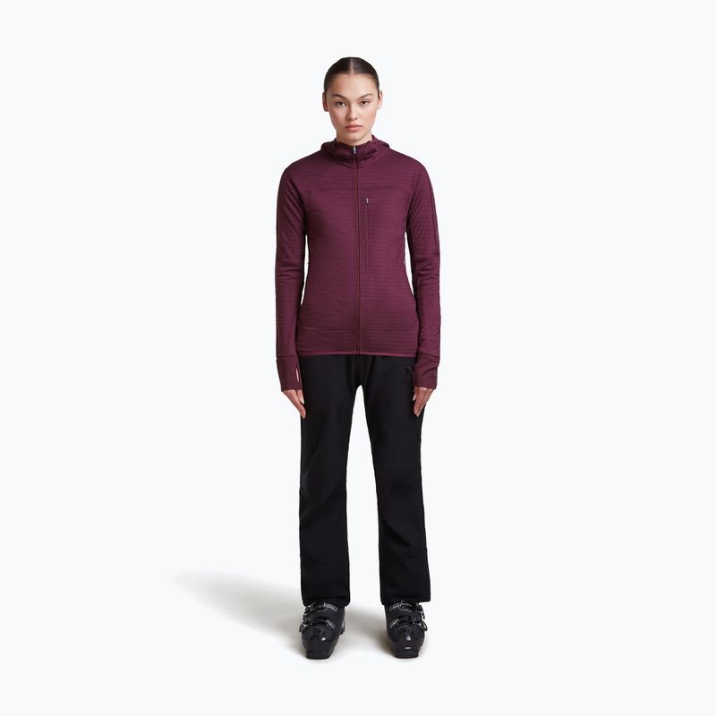 Bluză de trekking pentru femei Icebreaker Merino 300 Realfleece Descender Zip Hoodie dark berry 2
