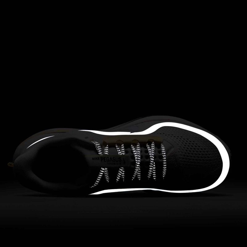 Încălțăminte de alergare pentru femei Nike Pegasus Premium sail/alabaster/anthracite/white 10