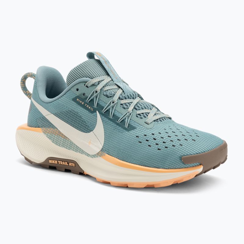 Încălțăminte de alergare pentru femei Nike Pegasus Trail 5 cannon / soft pearl / mink brown