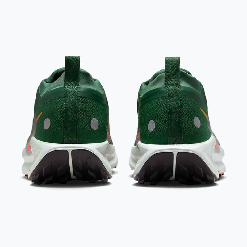 Încălțăminte de alergare pentru bărbați Nike Pegasus Trail 5 GORE-TEX fir/bright crimson/clay green 6