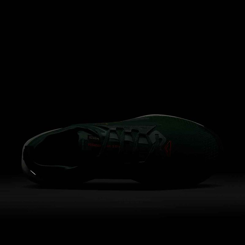 Încălțăminte de alergare pentru bărbați Nike Pegasus Trail 5 GORE-TEX fir/bright crimson/clay green 10