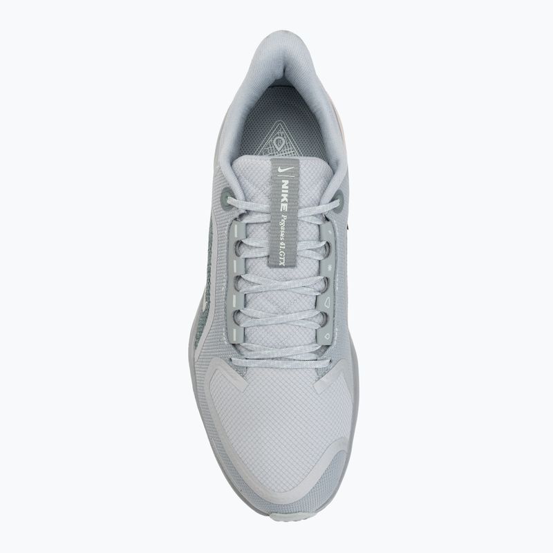 Încălțăminte de alergare pentru bărbați Nike Pegasus 41 GTX light pumice/pure platinum/silt red/metal silver 5