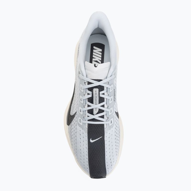 Încălțăminte de alergare pentru bărbați Nike Pegasus Plus pure platinum/wolf grey/sail/anthracite 5