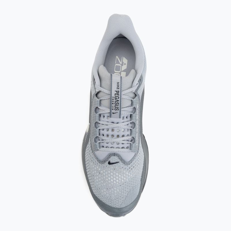 Încălțăminte de alergare pentru bărbați Nike Pegasus Premium wolf grey/cool grey/anthracite/sail 5