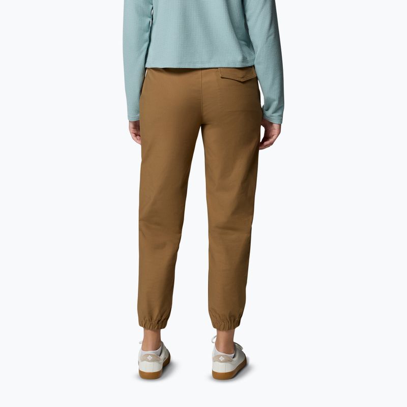 Pantaloni de trekking pentru bărbați Columbia ROC Ripstop Jogger delta 3