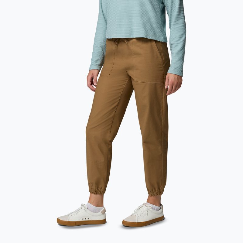 Pantaloni de trekking pentru bărbați Columbia ROC Ripstop Jogger delta 4