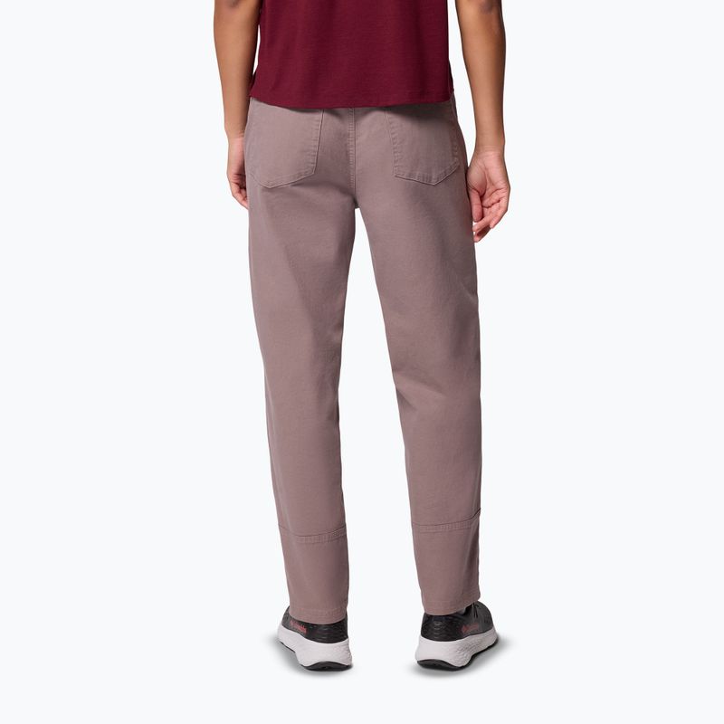 Pantaloni de trekking pentru bărbați Columbia ROC Straight Leg iron 3