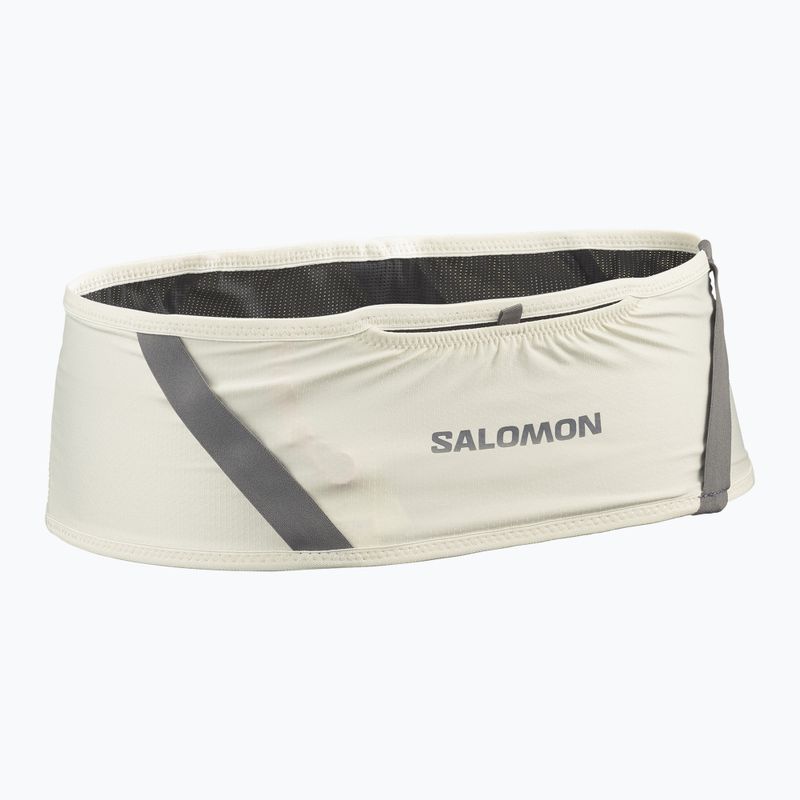 Centură de alergare Salomon Pulse icicle / castlerock 2