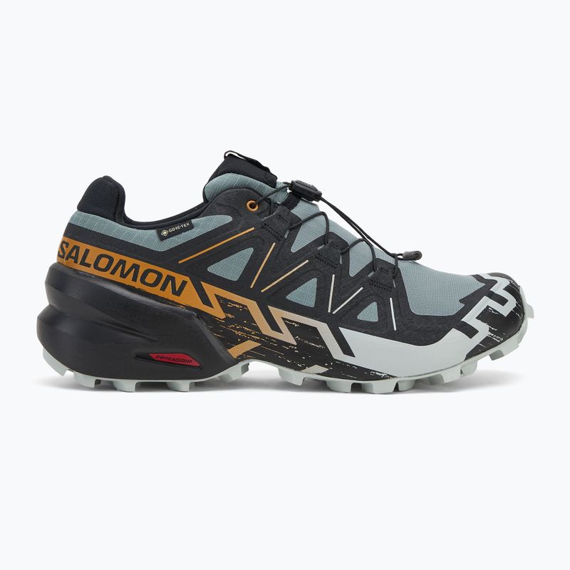 Încălțăminte de alergare pentru bărbați  Salomon Speedcross 6 GTX trooper/black/wood thrush 2