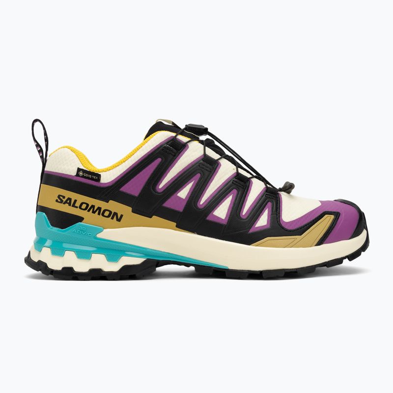 Încălțăminte de alergare pentru bărbați Salomon XA PRO 3D V9 GTX transparent yellow/black/waterfall 2
