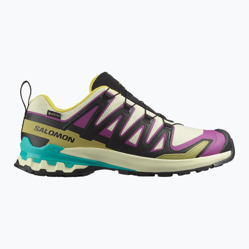 Încălțăminte de alergare pentru bărbați Salomon XA PRO 3D V9 GTX transparent yellow/black/waterfall 8
