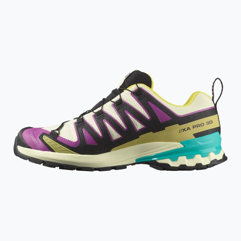 Încălțăminte de alergare pentru bărbați Salomon XA PRO 3D V9 GTX transparent yellow/black/waterfall 9