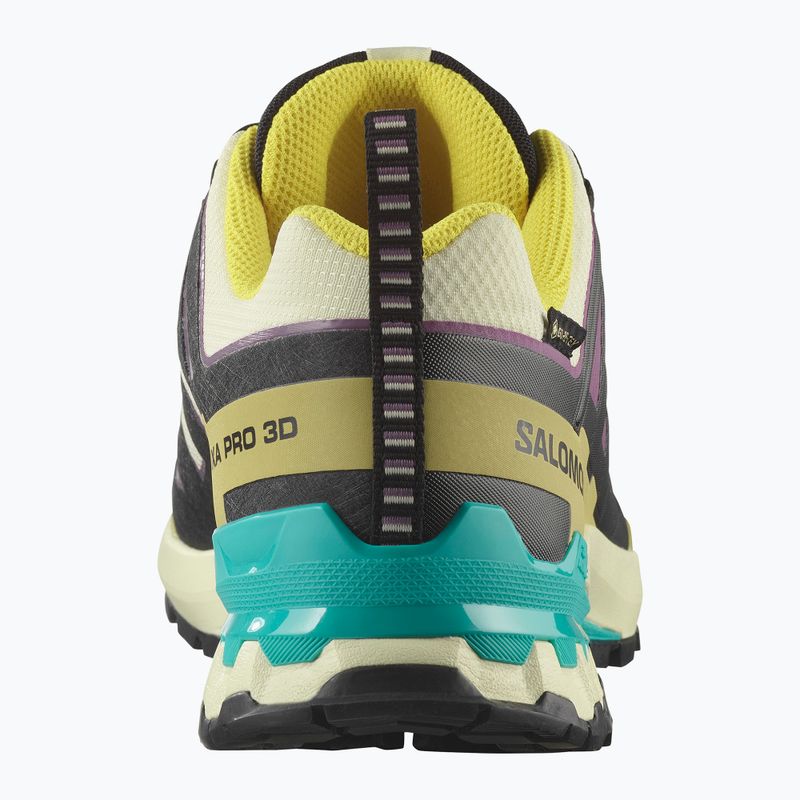 Încălțăminte de alergare pentru bărbați Salomon XA PRO 3D V9 GTX transparent yellow/black/waterfall 10
