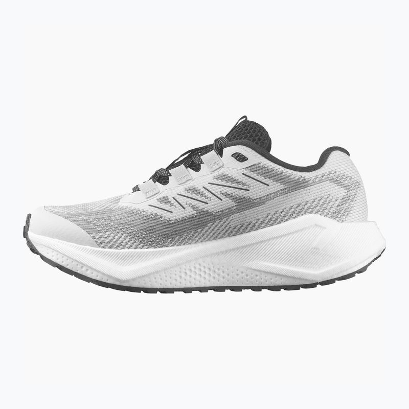 Încălțăminte de alergare pentru femei Salomon Aero Blaze 3 GRVL lunar rock/white/black 10