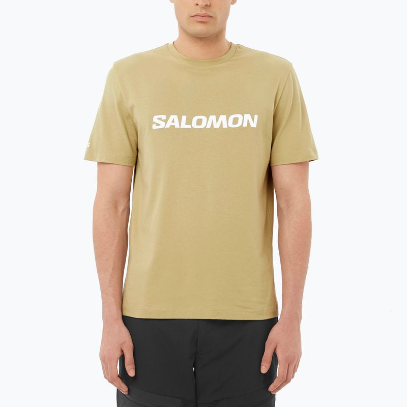 Tricou pentru bărbați  Salomon Logo gray green