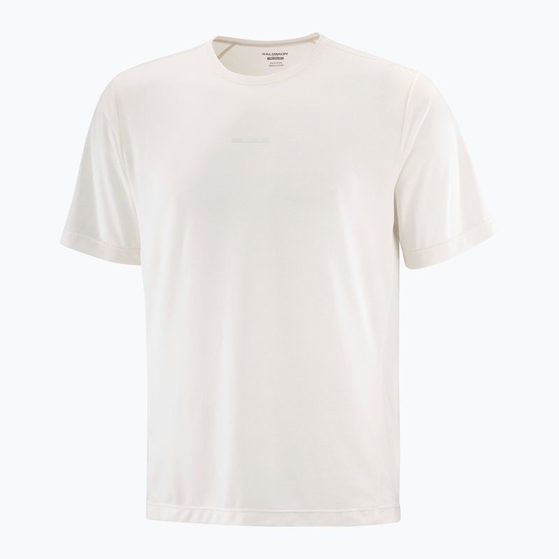 Tricou pentru bărbați  Salomon Shakeout Core whisper white 3