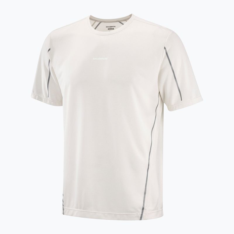 Tricou pentru bărbați Salomon Shakeout Core Strl whisper white 3