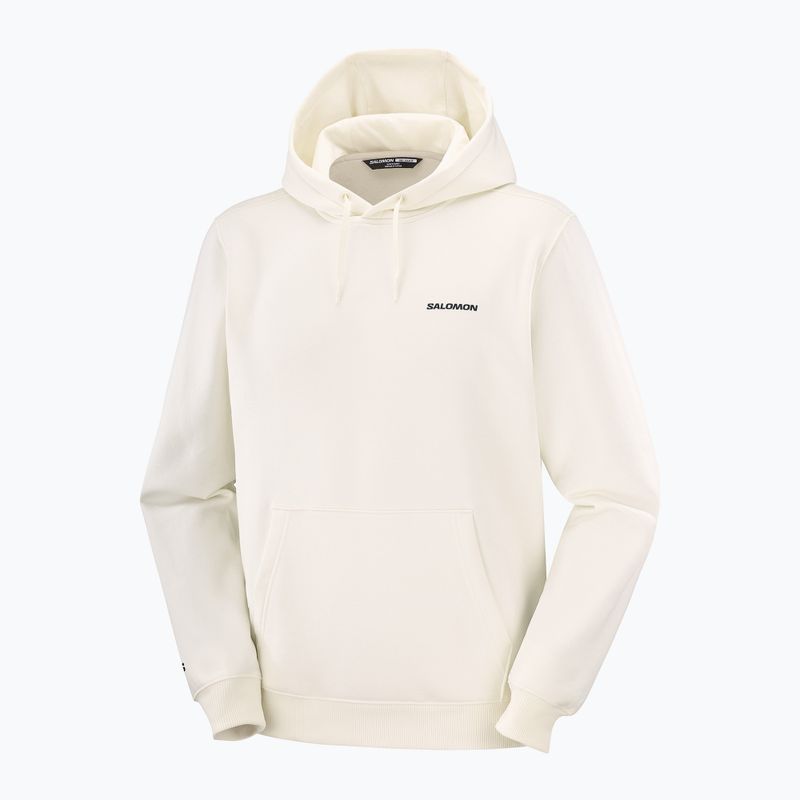 Bluză pentru bărbați Salomon Chest Logo Hoodie whisper white 5