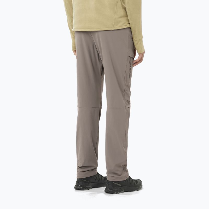 Pantaloni de trekking pentru bărbați Salomon Wayfarer iron 2