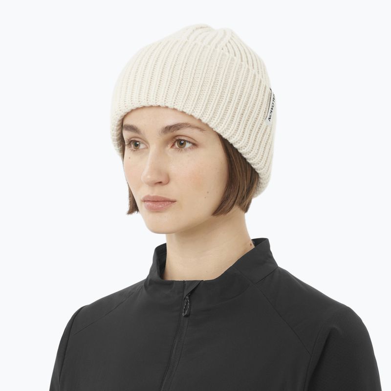 Căciulă de iarnă Salomon Snowbird whisper white 2