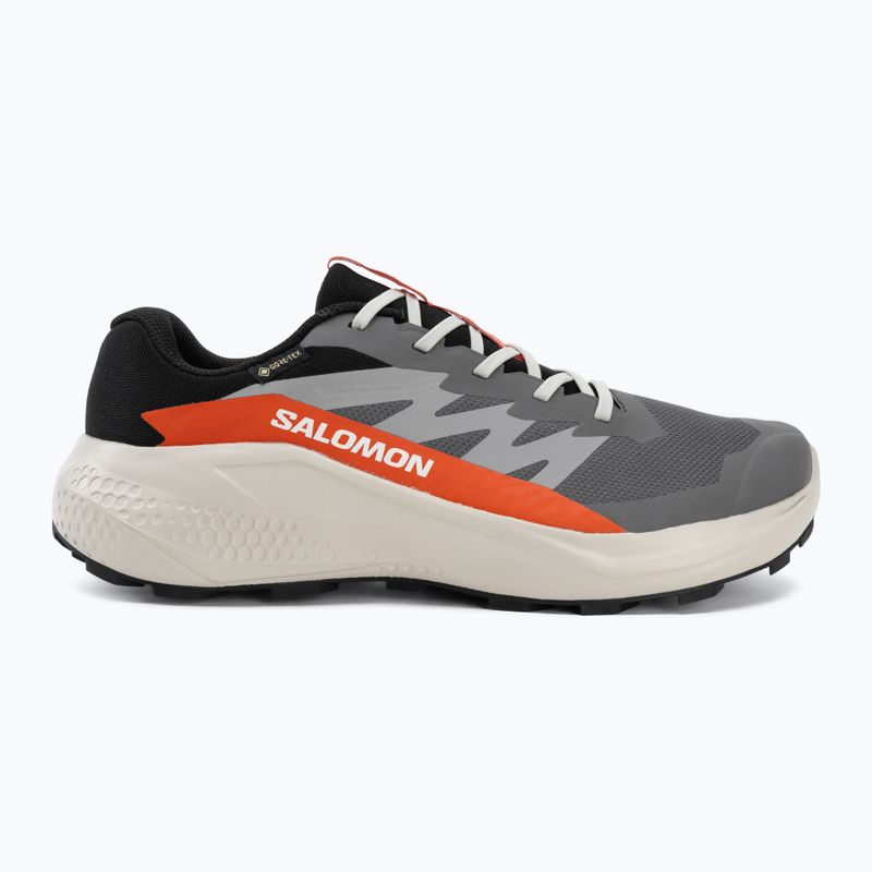 Încălțăminte de alergare pentru bărbați Salomon Alphaglide GTX castlerock/lunar rock 2
