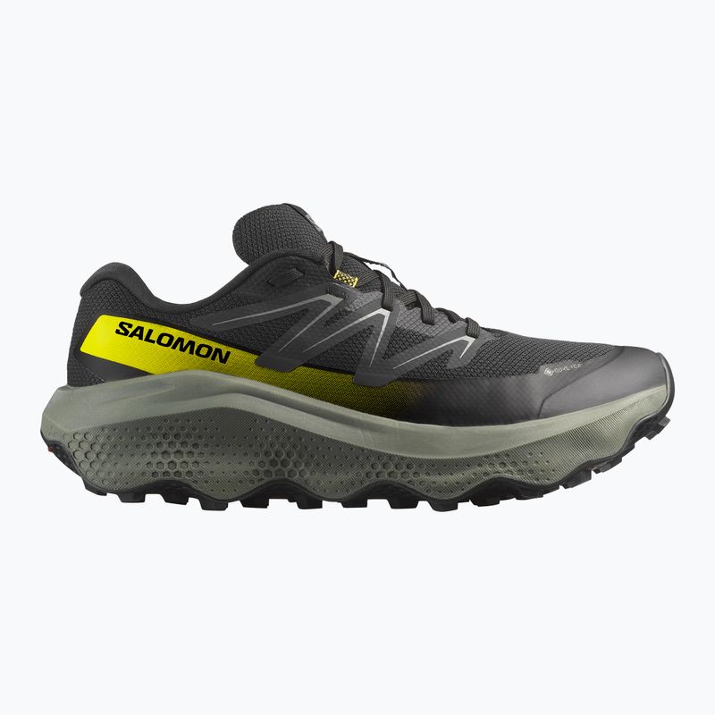 Încălțăminte de alergare pentru bărbați Salomon Ultra Flow 2 GTX black/sedona sage/incaberry 8