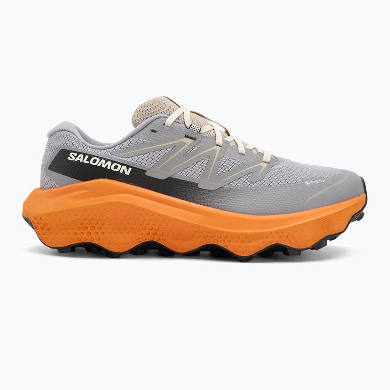 Încălțăminte de alergare pentru bărbați Salomon Ultra Flow 2 GTX gull/turmeric/white pepper 2