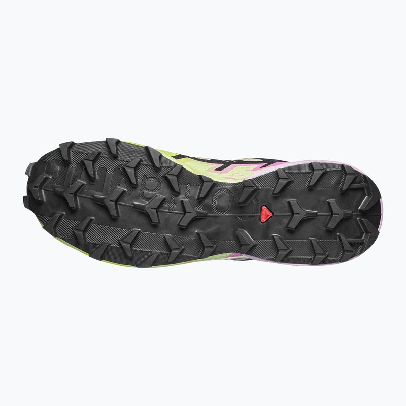 Încălțăminte de alergare pentru femei Salomon Speedcross 6 GTX bog/dawn pink 5