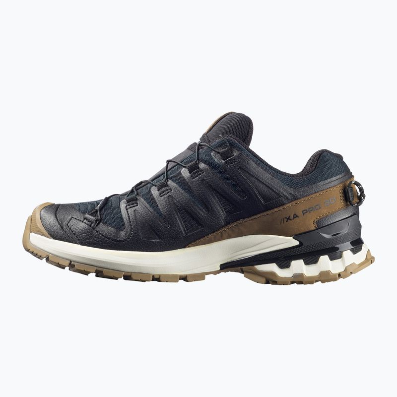 Pantofi de alergare pentru femei Salomon XA PRO 3D V9 GTX Lifelong negru/maro coyote/vanilie înghețată 3
