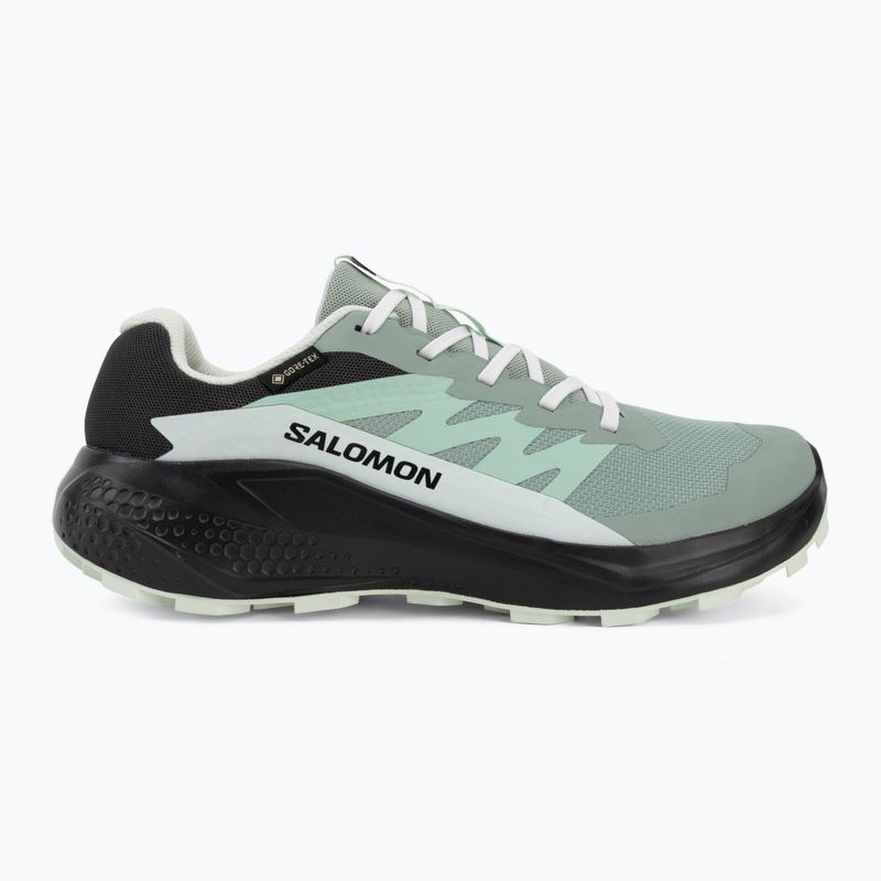 Încălțăminte de alergare pentru femei Salomon Alphaglide GTX green milieu/asphalt 2