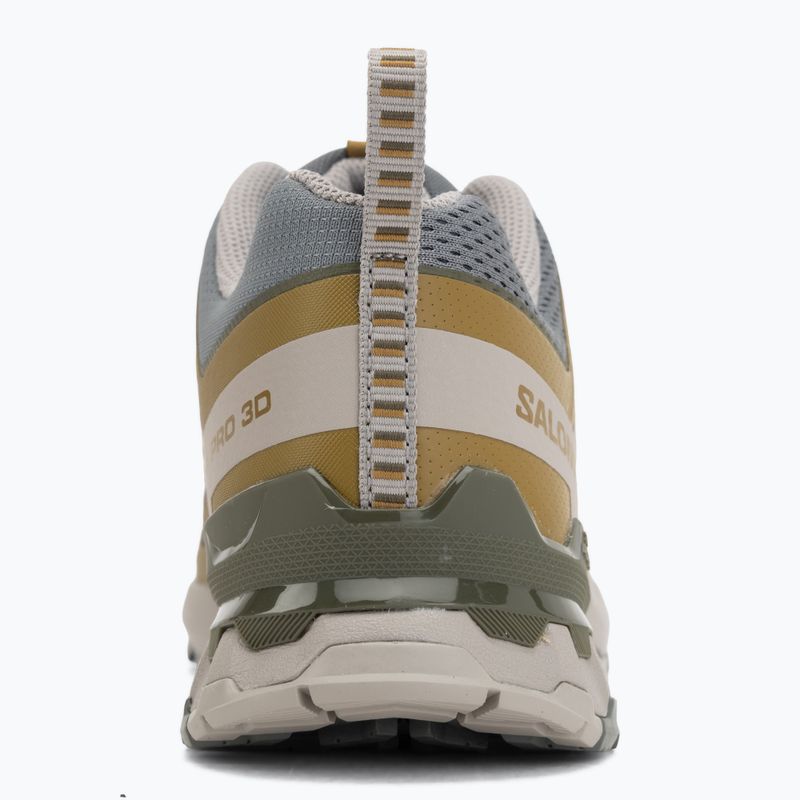 Încălțăminte de alergare pentru bărbați Salomon XA Pro 3D V9 sedona sage/plantation/paloma 6