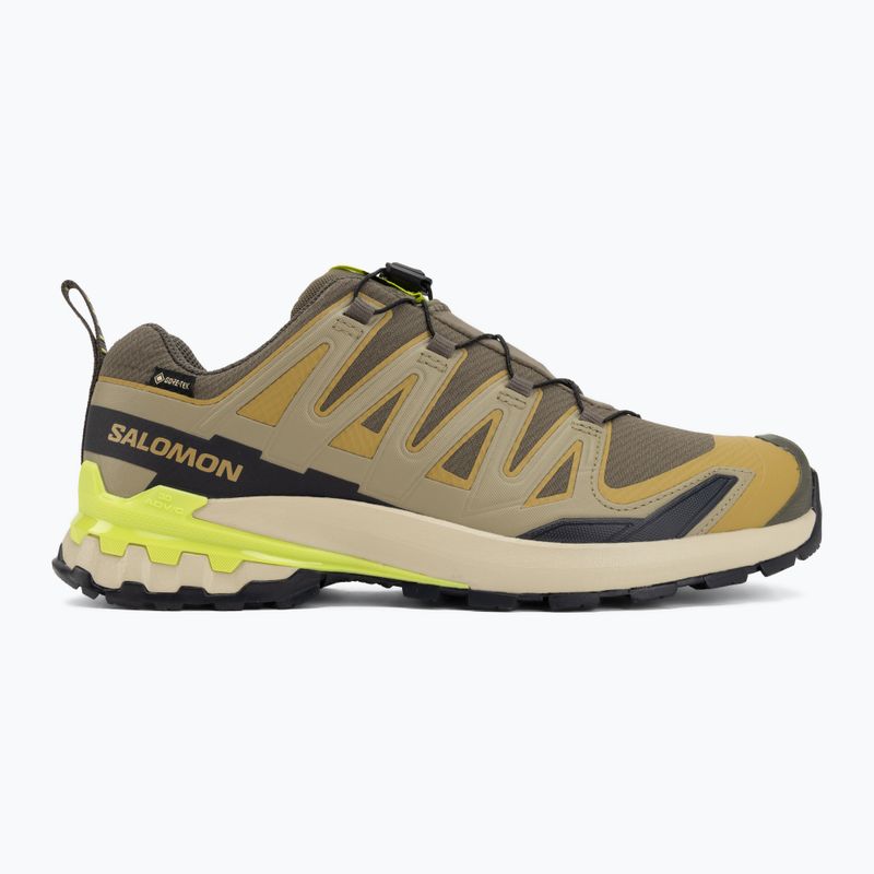 Încălțăminte de alergare pentru bărbați Salomon XA Pro 3D V9 GTX grape leaf/aloe 2