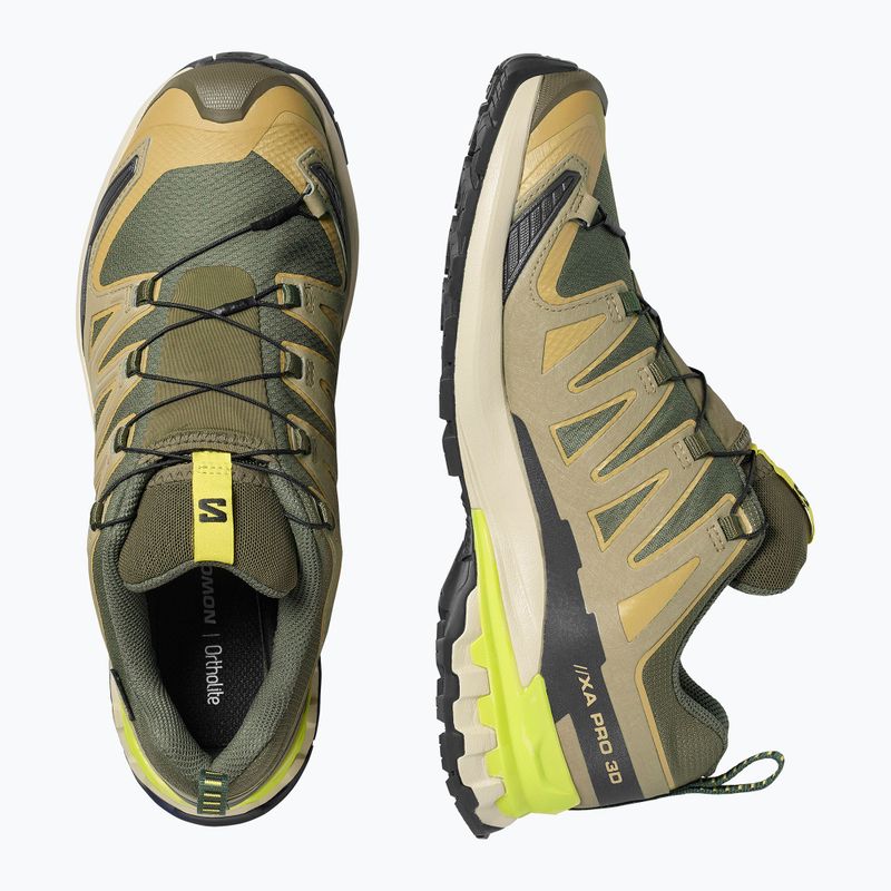 Încălțăminte de alergare pentru bărbați Salomon XA Pro 3D V9 GTX grape leaf/aloe 3