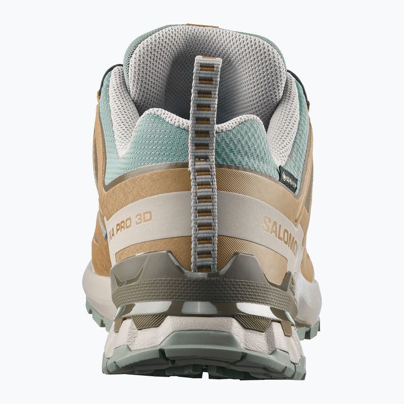 Încălțăminte de alergare pentru bărbați Salomon XA Pro 3D V9 GTX sedona sage/brilliant olive 5