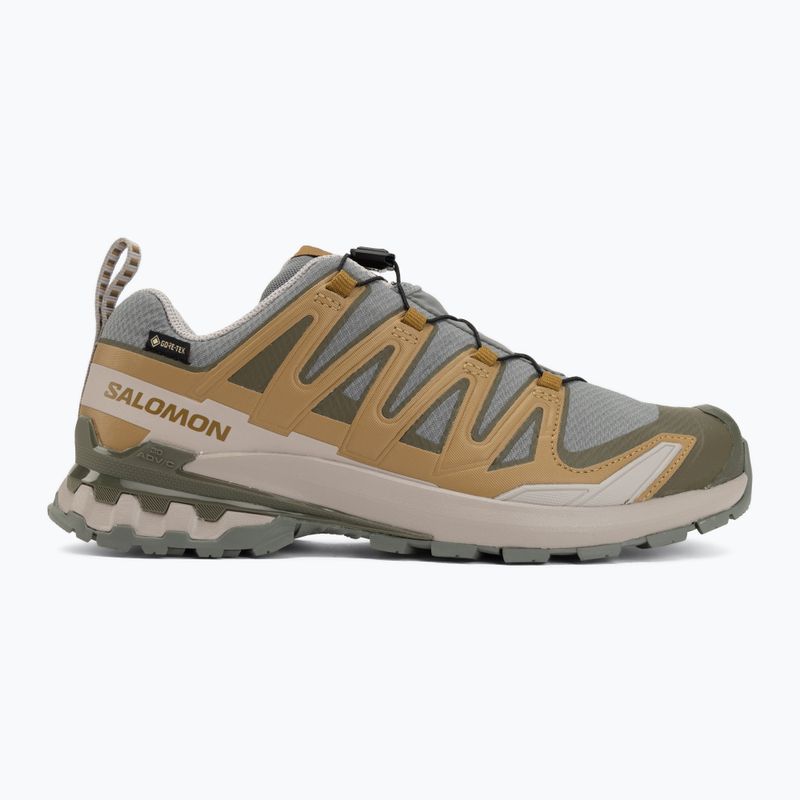 Încălțăminte de alergare pentru bărbați Salomon XA Pro 3D V9 GTX sedona sage/brilliant olive 2