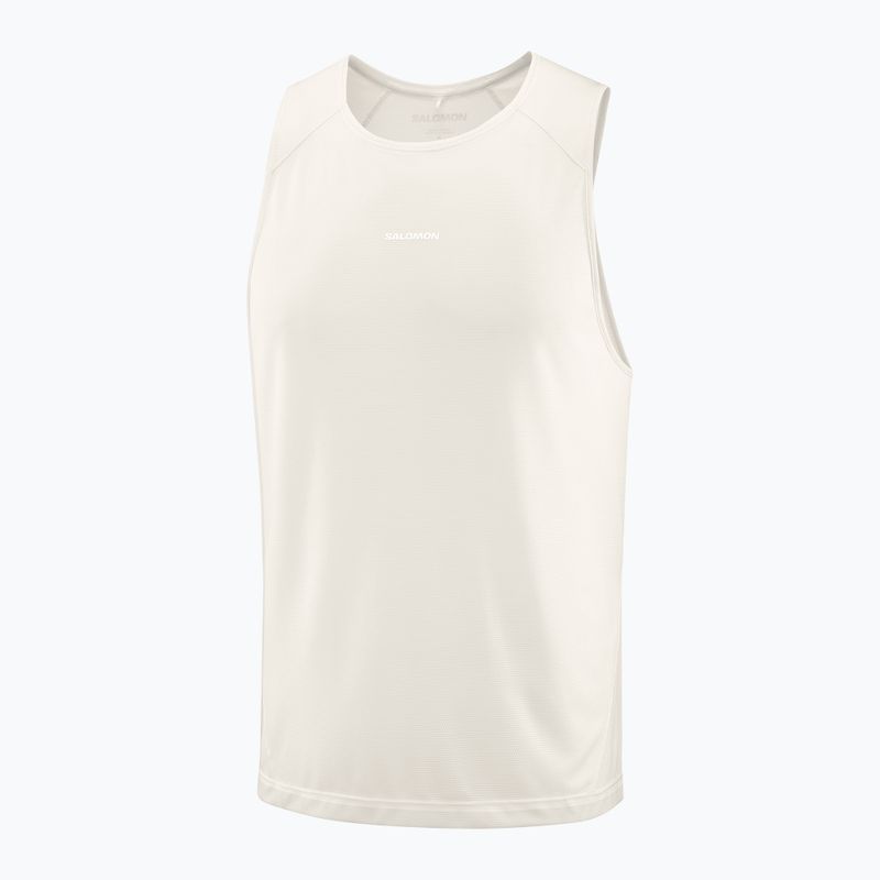 Tricou pentru bărbați Salomon Shakeout Core whisper white 3