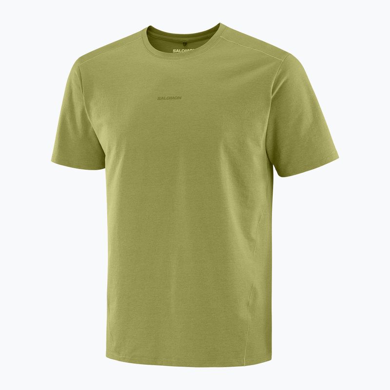 Tricou pentru bărbați Salomon Trackline cardamon seed 5