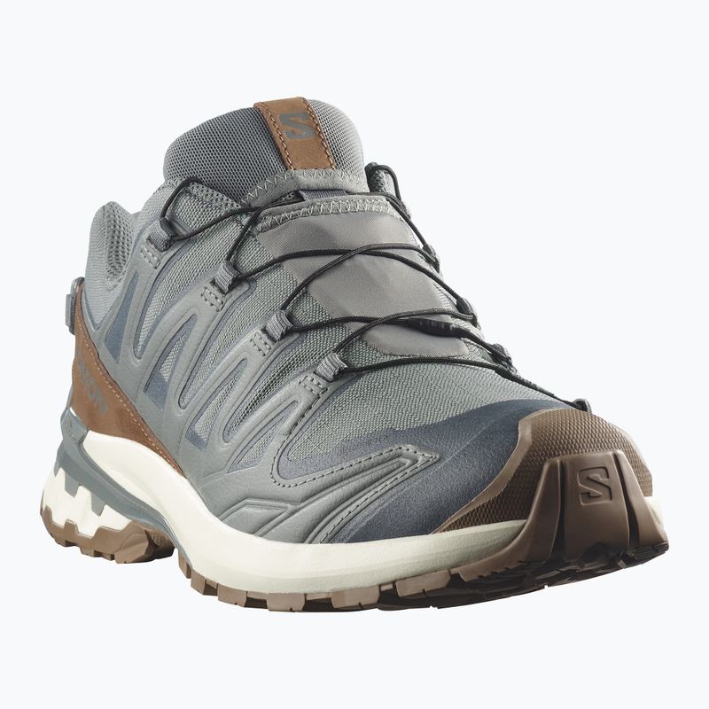 Încălțăminte de alergare pentru bărbați Salomon XA Pro 3D V9 GTX Lifelong sedona sage/coyote brown 2