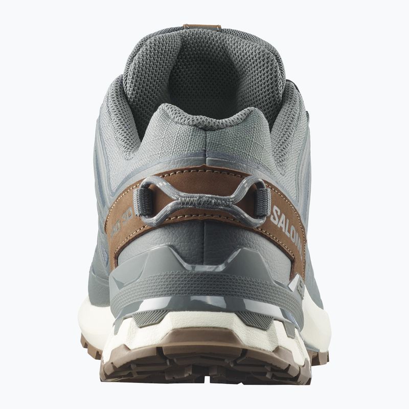 Încălțăminte de alergare pentru bărbați Salomon XA Pro 3D V9 GTX Lifelong sedona sage/coyote brown 5