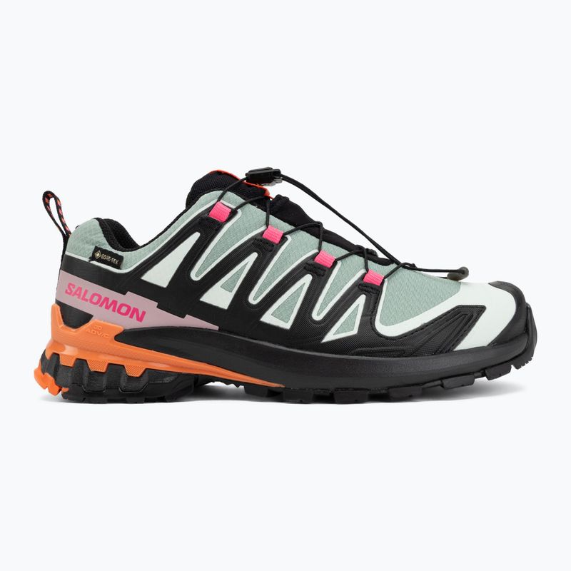 Încălțăminte de alergare pentru femei Salomon XA Pro 3D V9 GTX Icon black/green milieu 2