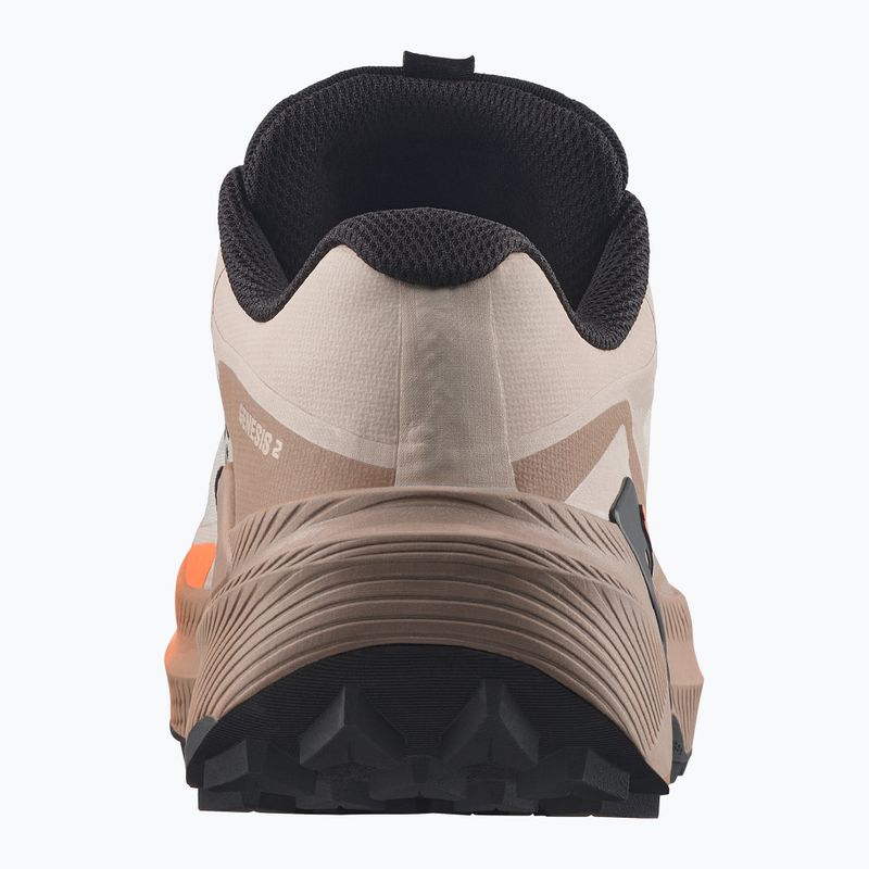 Încălțăminte de alergare pentru femei Salomon Genesis 2 GTX rainy day/desert tan 2