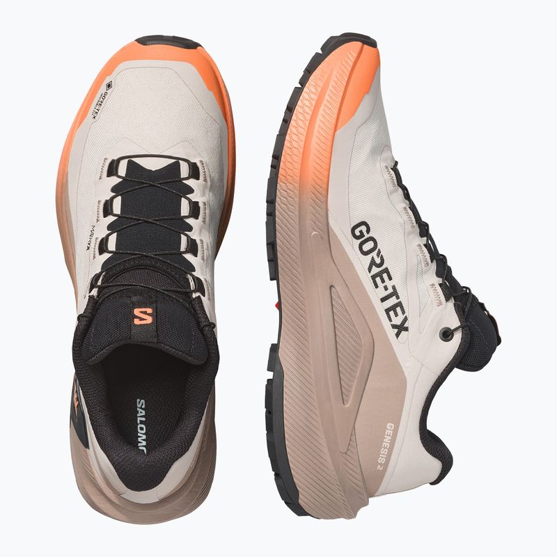 Încălțăminte de alergare pentru femei Salomon Genesis 2 GTX rainy day/desert tan 3