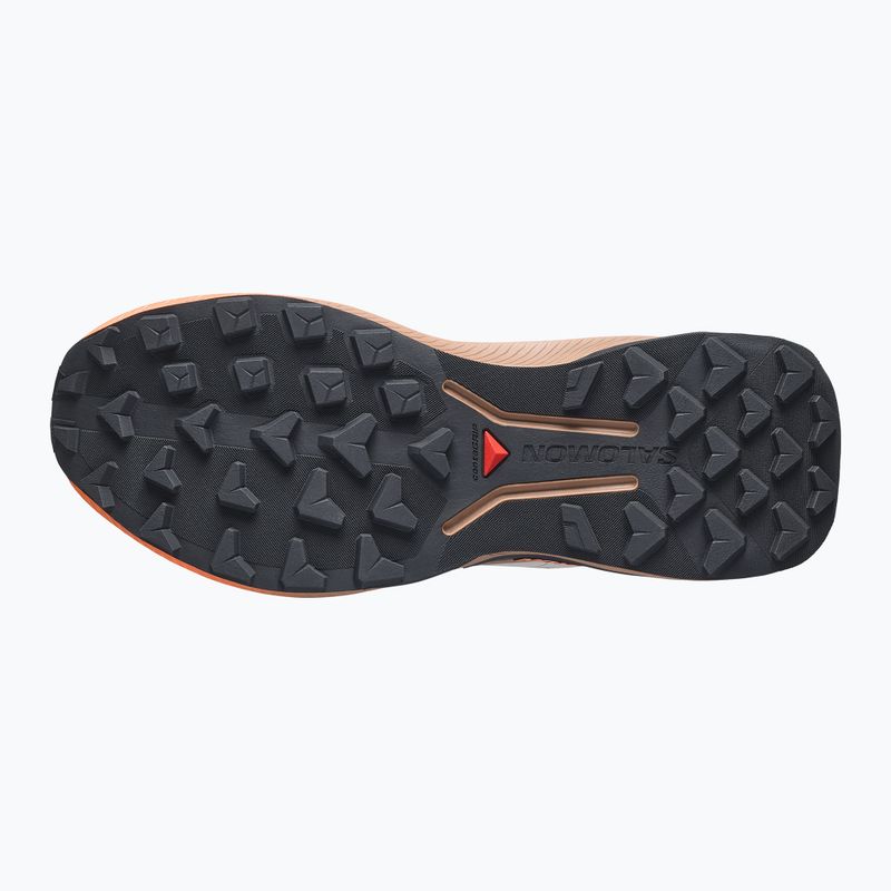 Încălțăminte de alergare pentru femei Salomon Genesis 2 GTX rainy day/desert tan 4